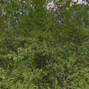 obrazek: avatar GLAMOUR CARE STUDIO