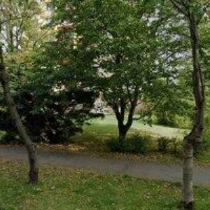 obrazek: avatar HAMMER LUKÁŠ