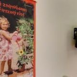 JAJACOSMETICS LASHES