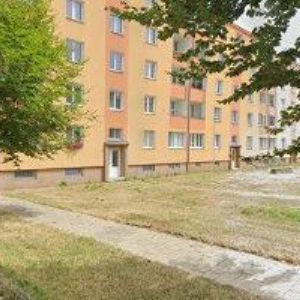 obrazek: avatar PETROVÁ HANA