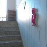 SCHROTTOVÁ MASTNÁ KATEŘINA