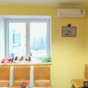 obrazek: avatar AR MEDICAL s.r.o.