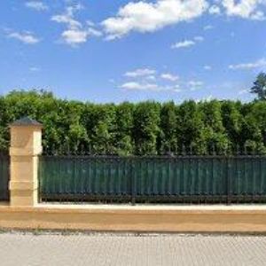 obrazek: avatar HANDLOVÁ EVA