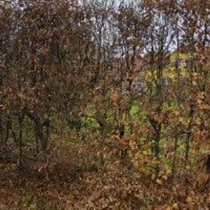 obrazek: avatar PAINTING PRO s.r.o.