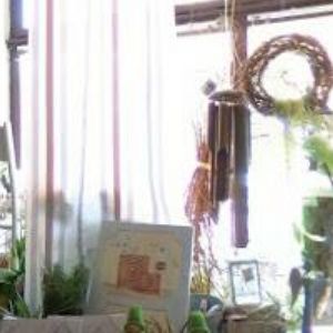 obrazek: avatar MALÍŘSTVÍ ŠIPOŠ s.r.o.