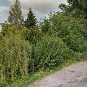 obrazek: avatar ŽANDA MALBY s.r.o.