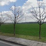 TOŠENOVJAN LUDĚK-SVĚTLÍKY