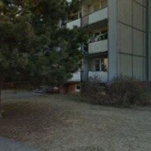 obrazek: avatar HORNÍČEK ROMAN