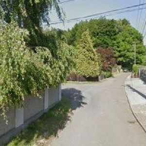 obrazek: avatar PAŠČÁK PAVEL-PASCALEX