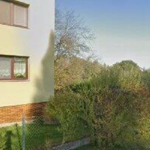 obrazek: avatar MALBY ZAJÍC