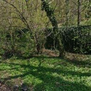 obrazek: avatar LEM PRŮMYSLOVÉ BARVY s.r.o.