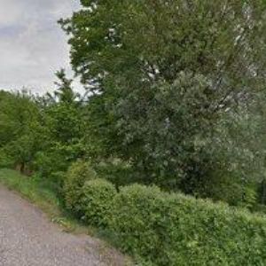 obrazek: avatar VILČEK ONDŘEJ