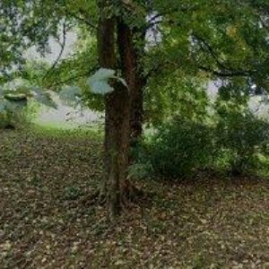 obrazek: avatar JANOWSKI KAREL