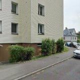 HLÁSNY ROMAN-MALÍŘSTVÍ A TAPETÁŘSTVÍ