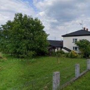 obrazek: avatar ELSNIC DALIBOR