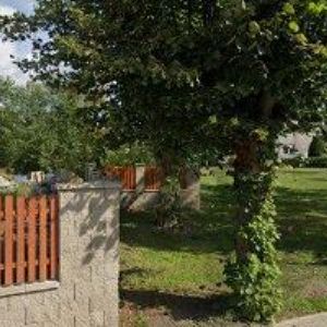 obrazek: avatar STAVBY HORIZONT s.r.o.