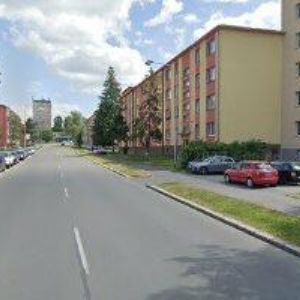 obrazek: avatar BILKO MAREK