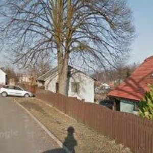 obrazek: avatar ČERNOCHOVÁ IVANA