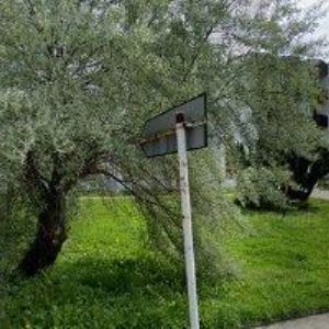 obrazek: avatar NEČASOVÁ VANDA