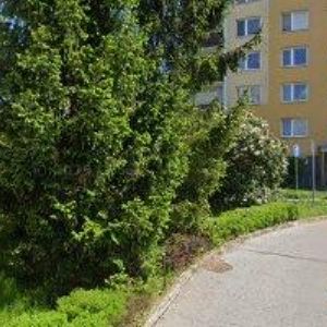 obrazek: avatar VAVERKA RICHARD