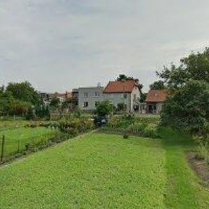 obrazek: avatar VLACH RADOMÍR