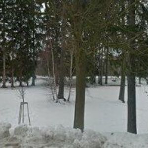 obrazek: avatar KOVÁCS MICHAL