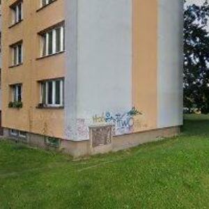 obrazek: avatar KOUDELA MICHAL