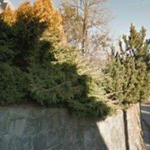 obrazek: avatar CIESLAR RICHARD