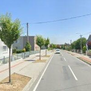 obrazek: avatar ARACOLOR-TLACH RADEK