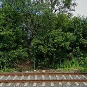 obrazek: avatar ZEDNÍK JAROSLAV