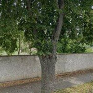 obrazek: avatar ČECH KAREL-INSTALATÉRSTVÍ