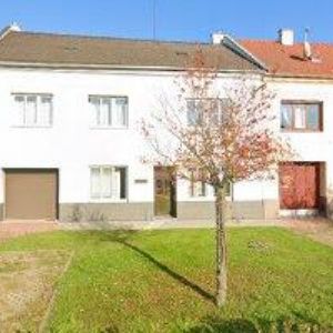 obrazek: avatar HRAZDIL DAVID