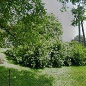 obrazek: avatar TOBOLA MILOŠ