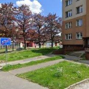 obrazek: avatar BŘEZINA KAMIL