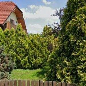 obrazek: avatar STŘECHY BEČÁK