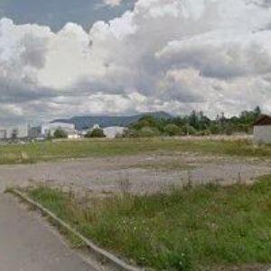 obrazek: avatar SARAN