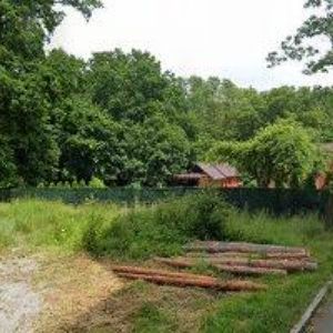 obrazek: avatar POTUŽÁK LADISLAV