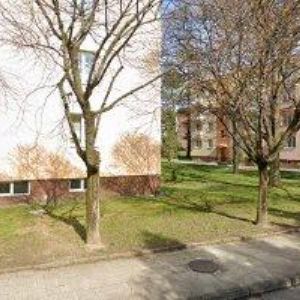 obrazek: avatar ŠINDLÁŘ ZDENĚK