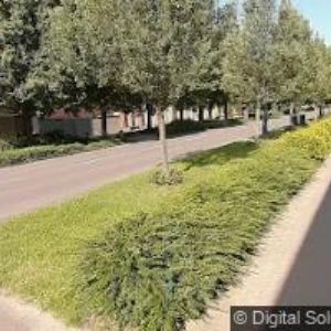 obrazek: avatar KOMINICTVÍ ŠVÉCAR