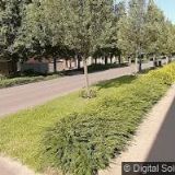 KOMINICTVÍ ŠVÉCAR