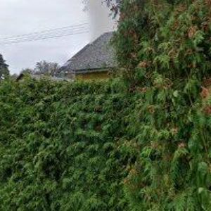 obrazek: avatar DUDEK JAROSLAV