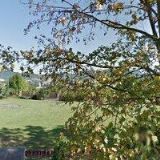 BAREVNÝ RESPIRÁTOR.CZ