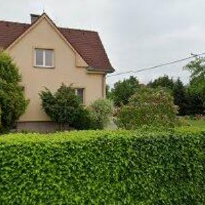 obrazek: avatar KOMÍNY BOKRA s.r.o.