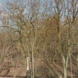 KAMNÁŘSTVÍ KALMUS