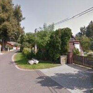 obrazek: avatar BAMBINO