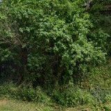 UKLIZENO.KVALITNE.CZ