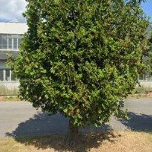 obrazek: avatar ZAREN-ECOCLEAN, s.r.o.