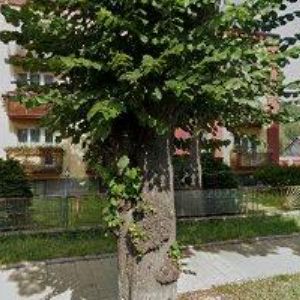 obrazek: avatar MAGISTRA-LÉKÁRNA 111