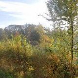 MÍČEK PETR-POHŘEBNÍ SLUŽBA