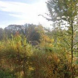 obrazek: avatar MÍČEK PETR-POHŘEBNÍ SLUŽBA